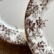 Set of 6 antique ironstone dessert plates, Alphand pattern by Sa