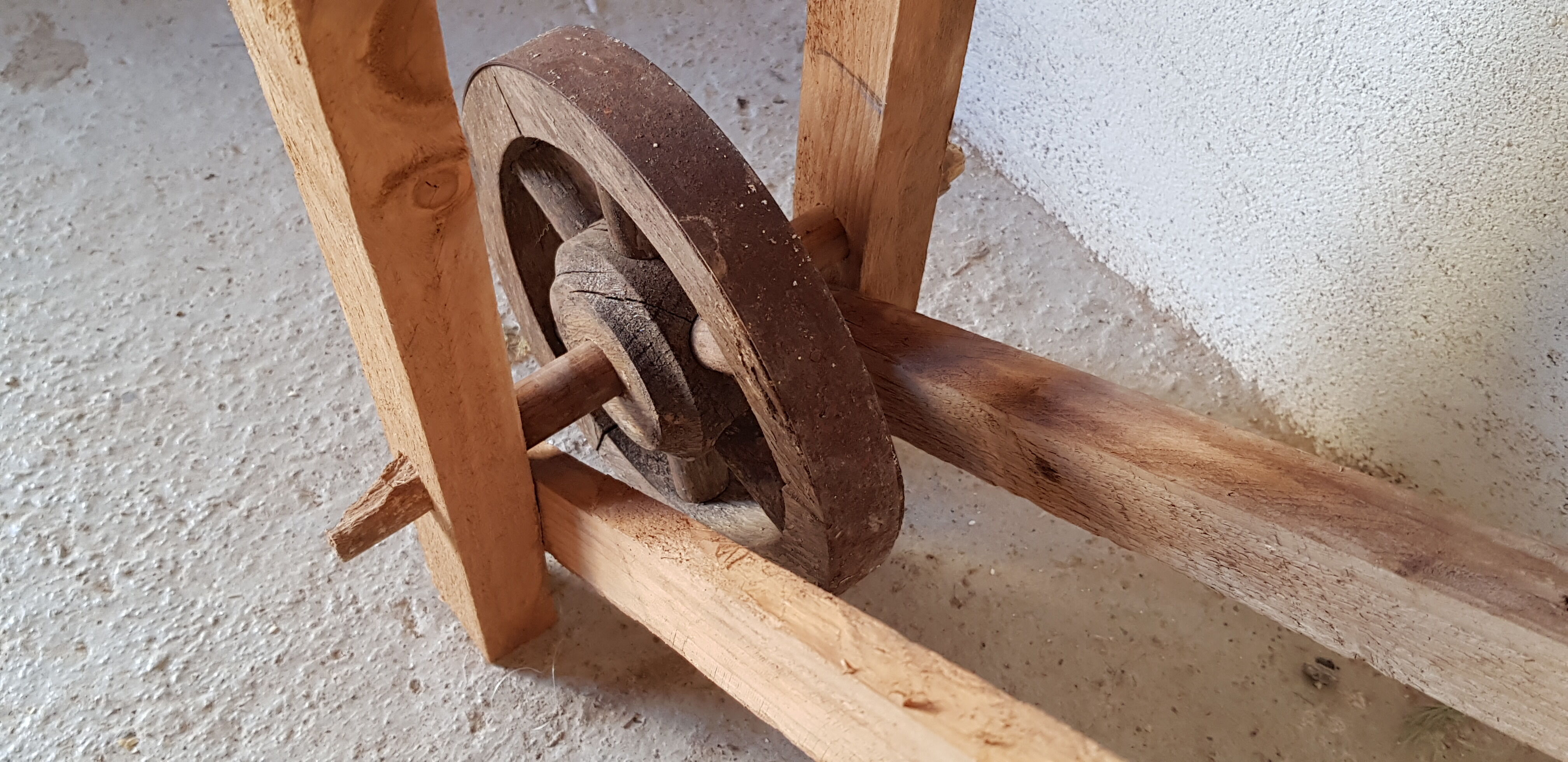 Primitive established