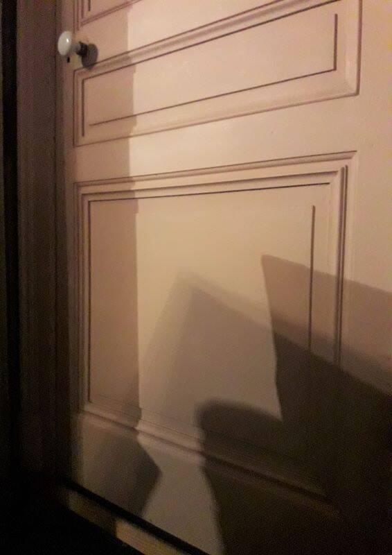 Haussmannian door 83x220.5cm with an old glazed transom frame.