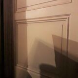 Haussmannian door 83x220.5cm with an old glazed transom frame.