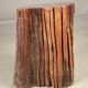 Consisting of a fossilized tree trunk seat