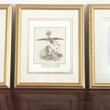 Animated Flowers Frame by JJ Grandville - Water Arrow