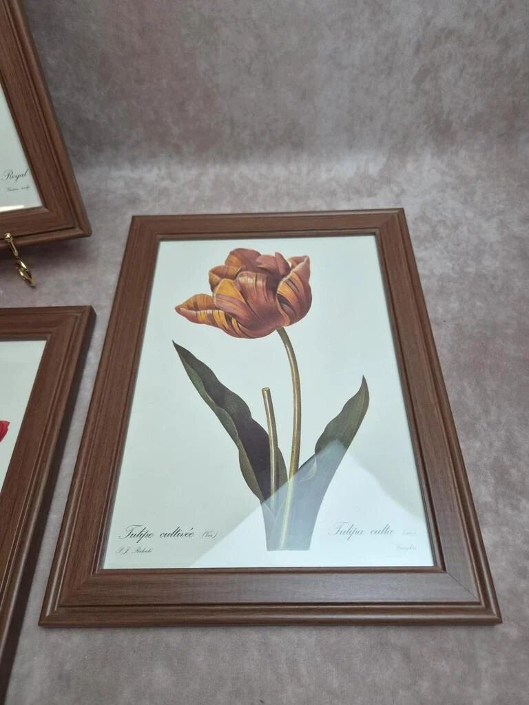 Lot de 3 cadres botaniques P.j. Redouté – Roses & tulipe