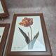 Lot de 3 cadres botaniques P.j. Redouté – Roses & tulipe