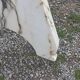 1970s marble table design