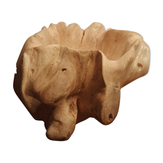 Teak root