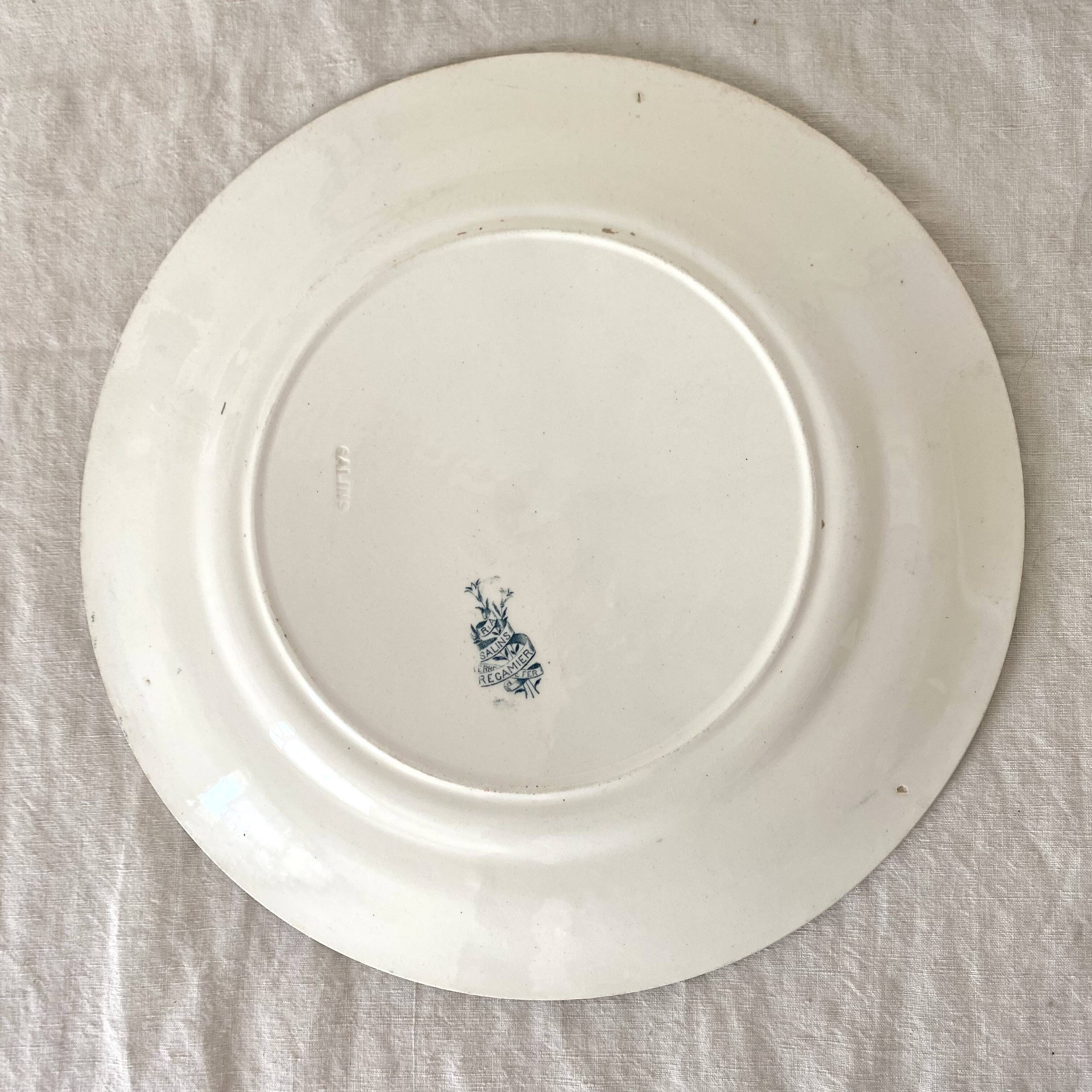 Set of ironstone dishes Salins France Régamier