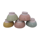 Lot de 5 bols Moulins Des Loups