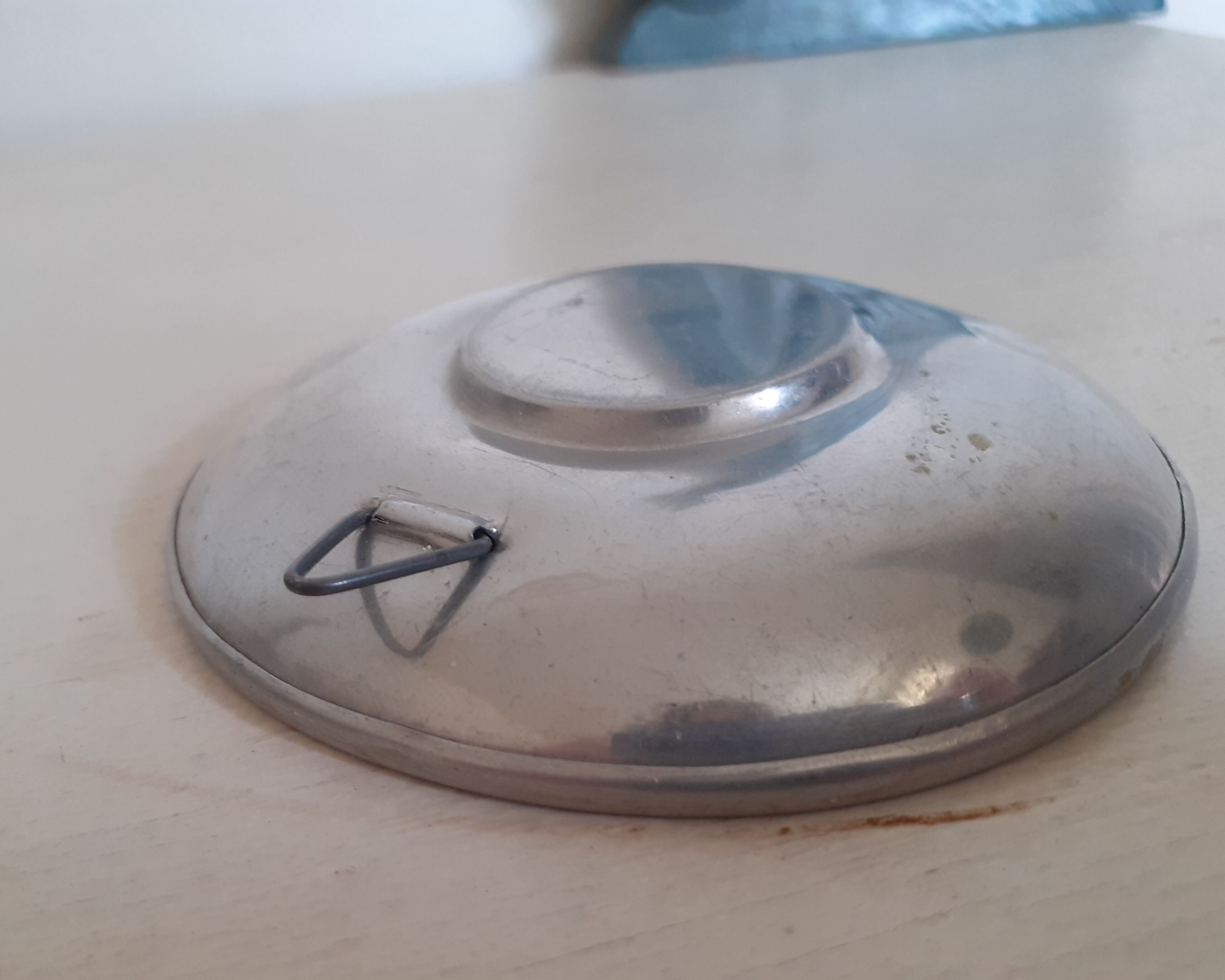 Naturalized Butterfly Year 70