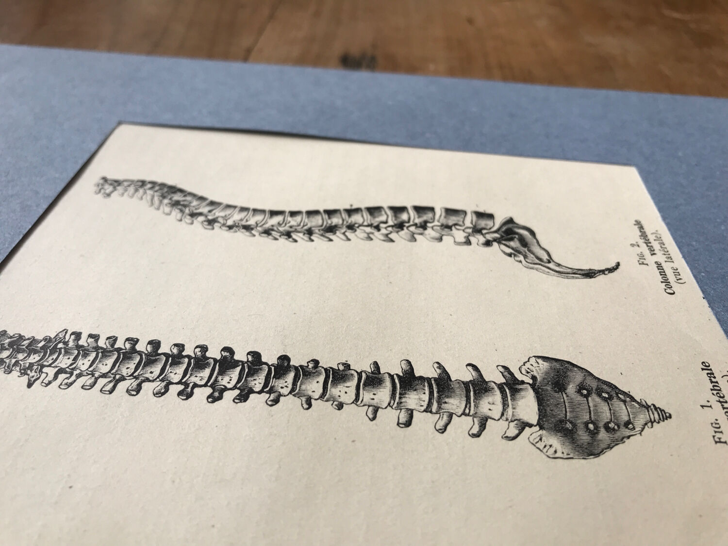 Vintage board medicine