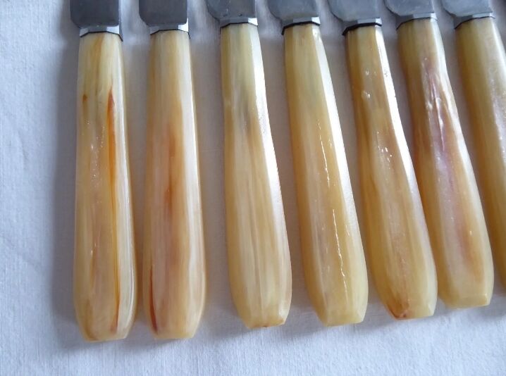 12 fruit knives, dessert. horn handle. length 19 cm