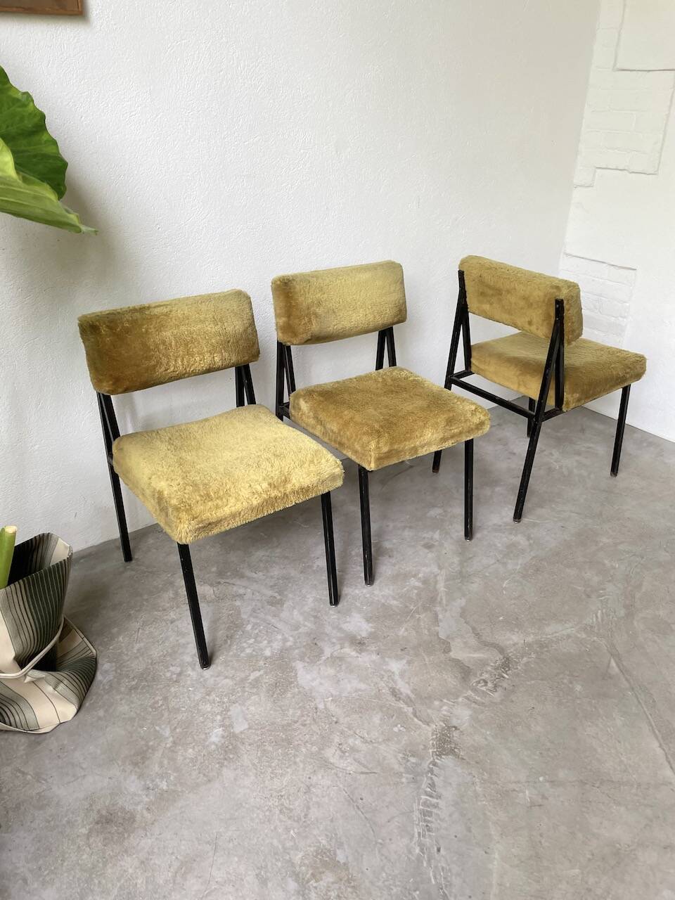 Set de trois chaises années 50