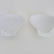 Pair of shell wall lights, in white ceramic. 80s 90s