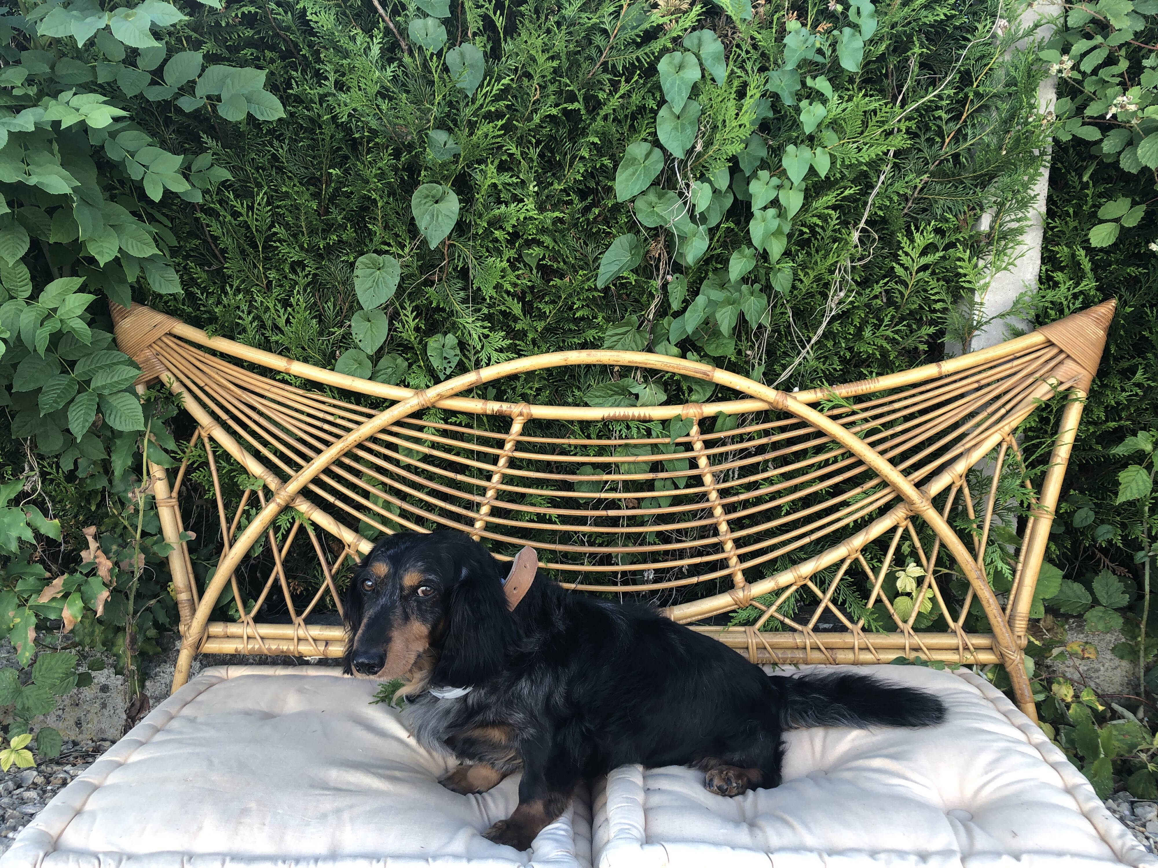 Head and foot of rattan rattan from the 60