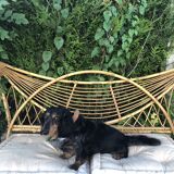 Head and foot of rattan rattan from the 60