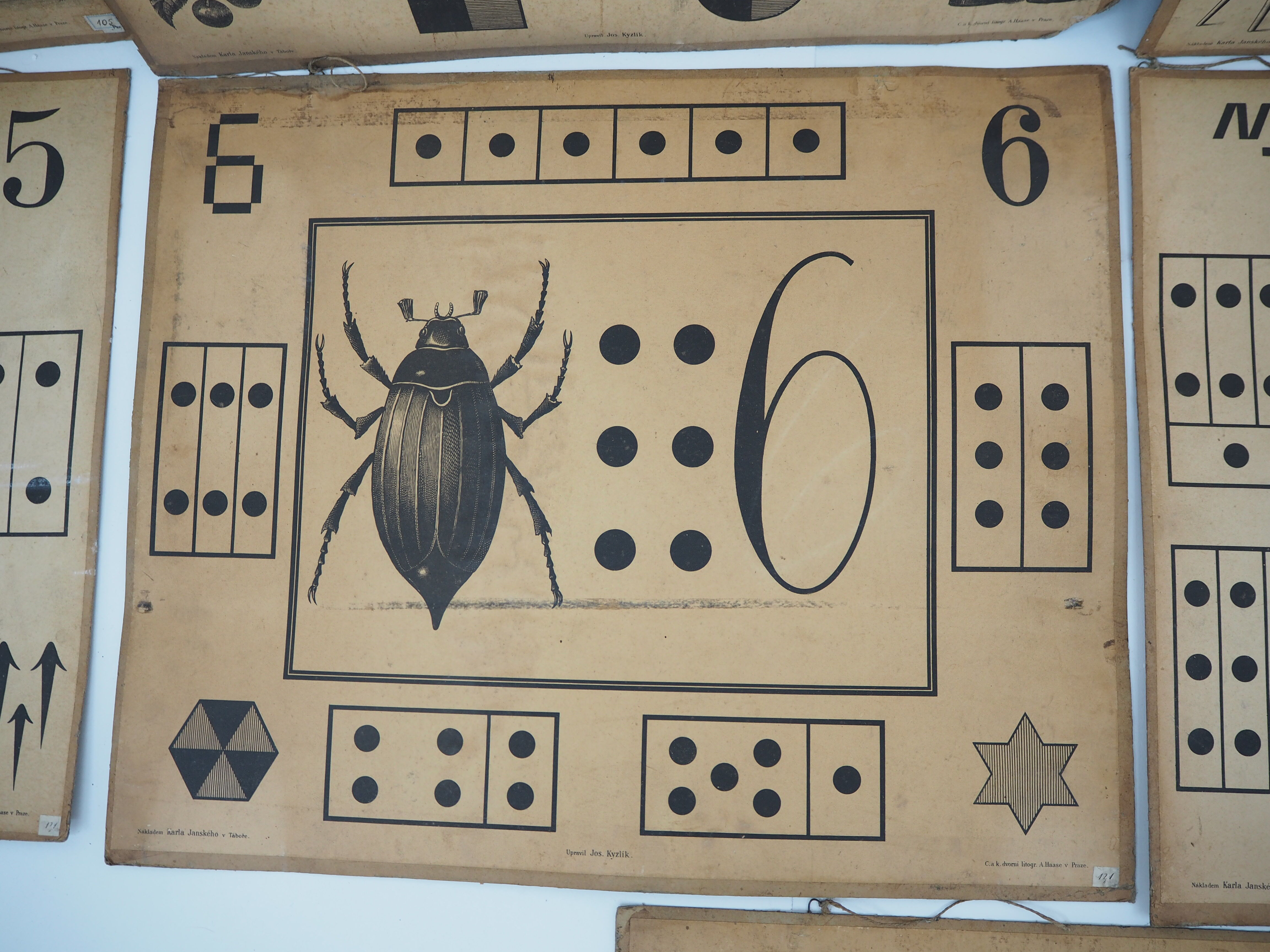 Set Of Nine Antique Teaching Posters from Litography A. Haase, Prague, 1900s