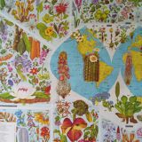 Poster map of the flowers of the world