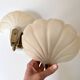 Pair of vintage shell glass wall lights, Art Deco style fixtures.