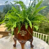 Magnificent mahogany planter