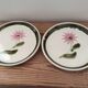 2 assiettes plates