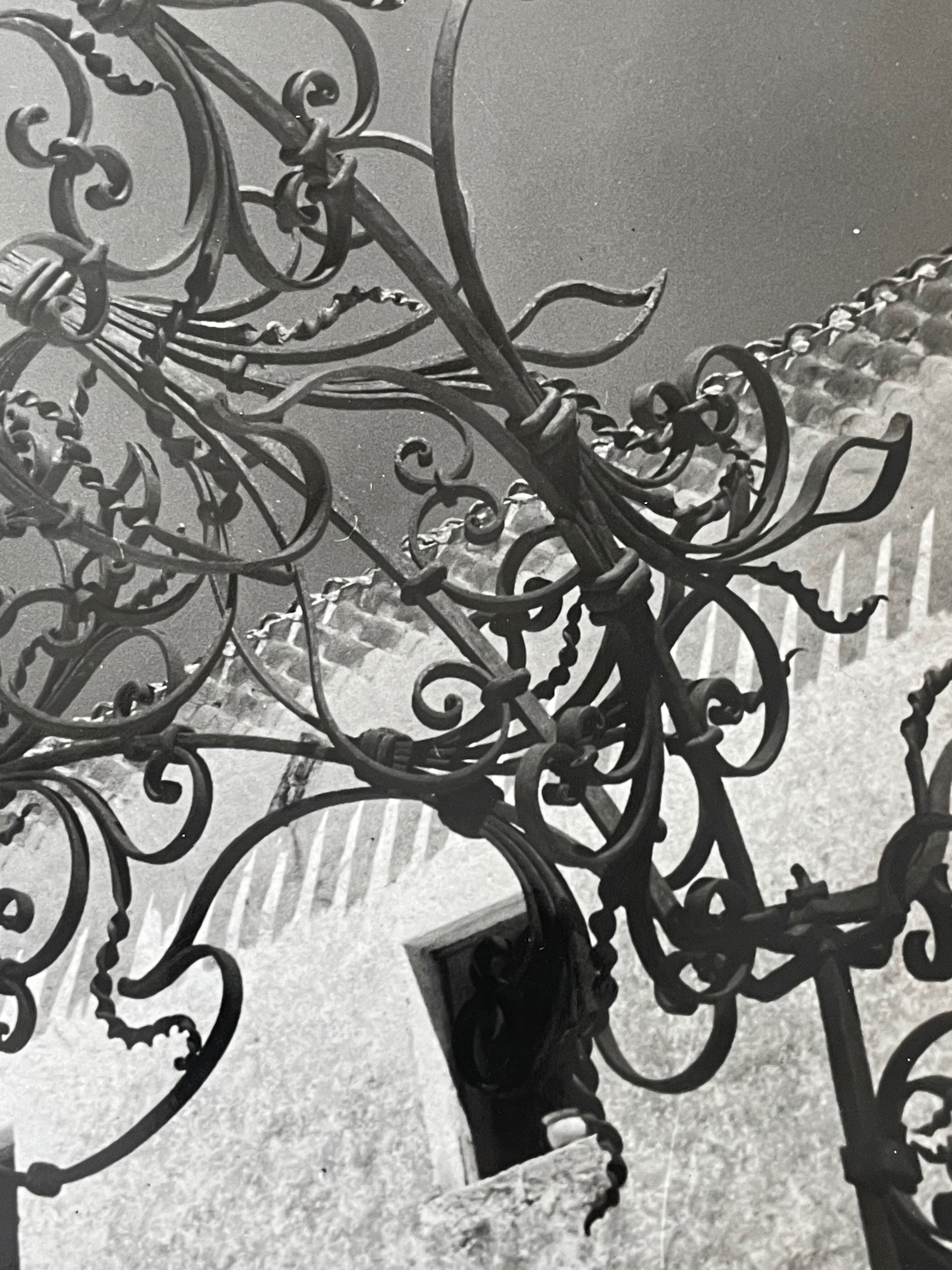 Black and white silver photography early twentieth century