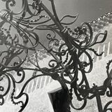 Black and white silver photography early twentieth century