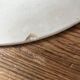 Lot of 3 flat plates 19th model "Athens" Longwy