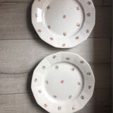 Digoin Sarreguemines plate