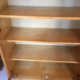 Scandinavian vintage bookcase display case