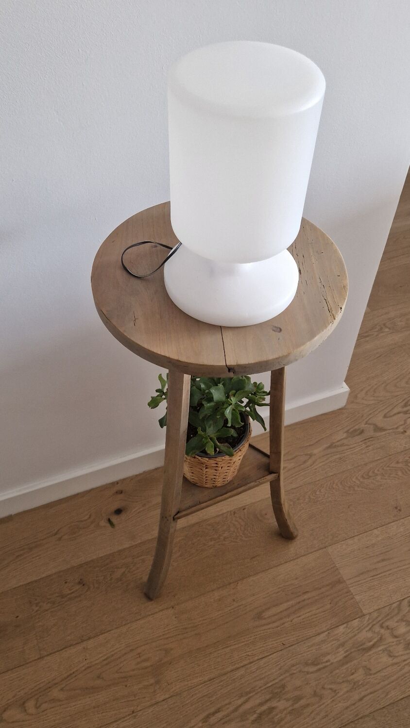 Old pedestal table driftwood