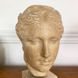 Head of a greek goddess in stone