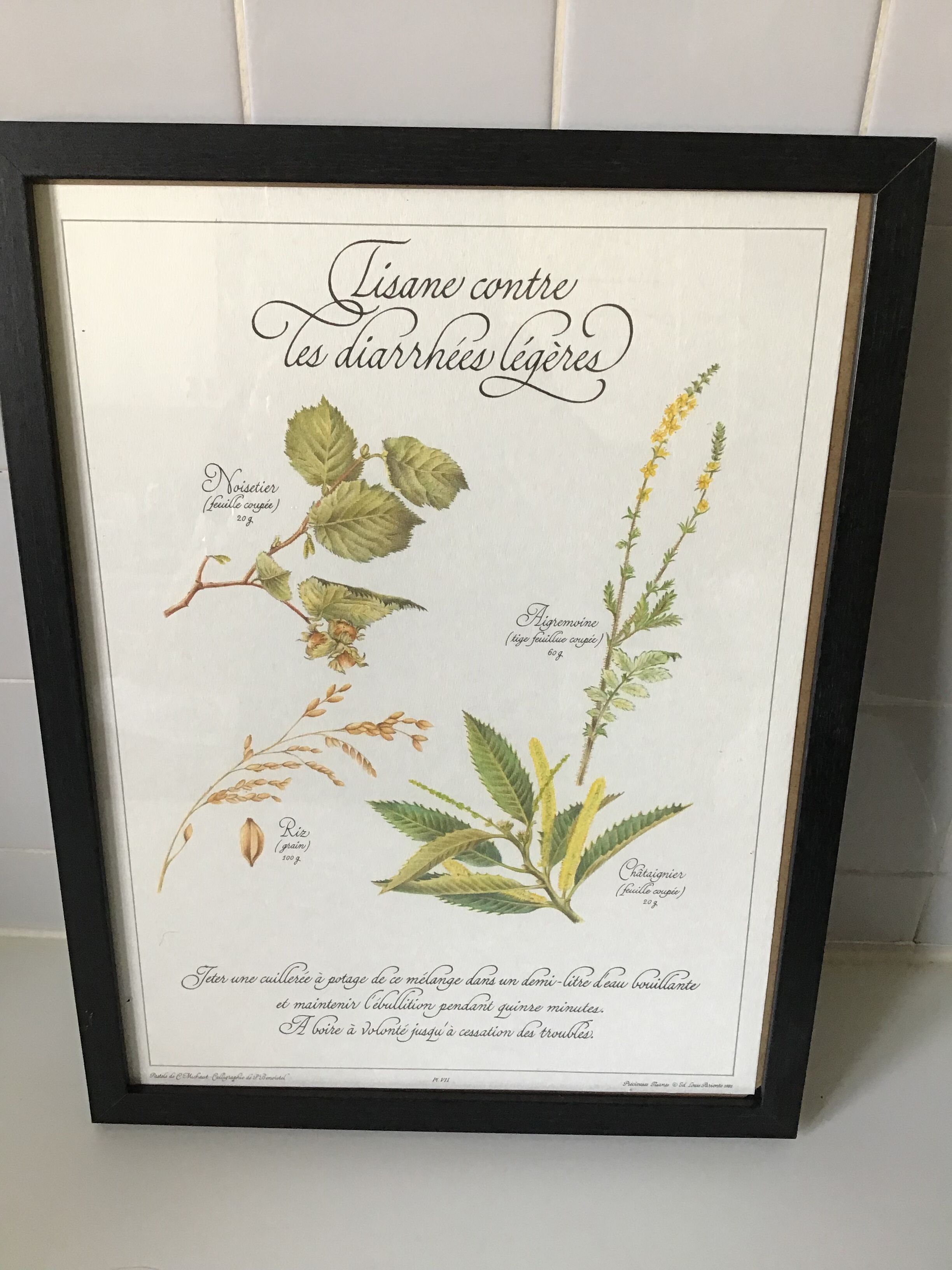 Botanical engraving precious herbal teas framed