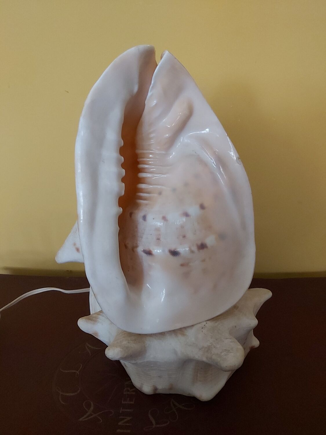 Night light, shell lamp 60s