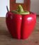 Pot Poivron rouge