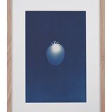 Cyanotype