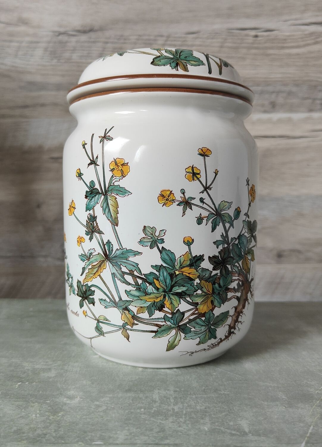 Grand Pot Botanica Villeroy and boch