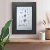 Printed in 1889, the composites. Old botanical plate.