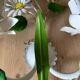 Applique fleurs
