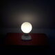 Porcelain lamp and opaline
