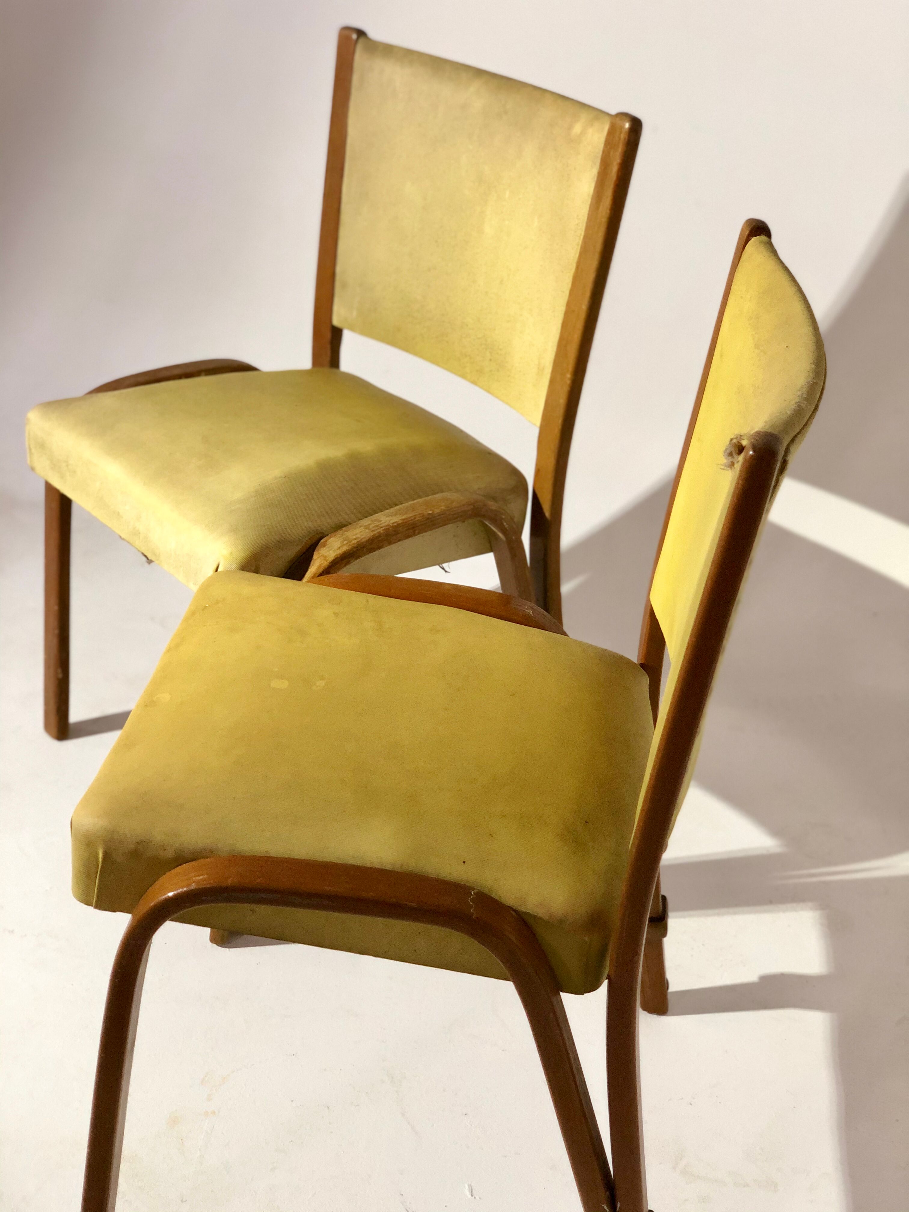 Pair of vintage Bow wood chairs for Steiner - Fabric and wood