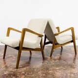 Pair of vintage 300-138 armchairs by Bystrzyckie Fabryki Mebli, 1960s