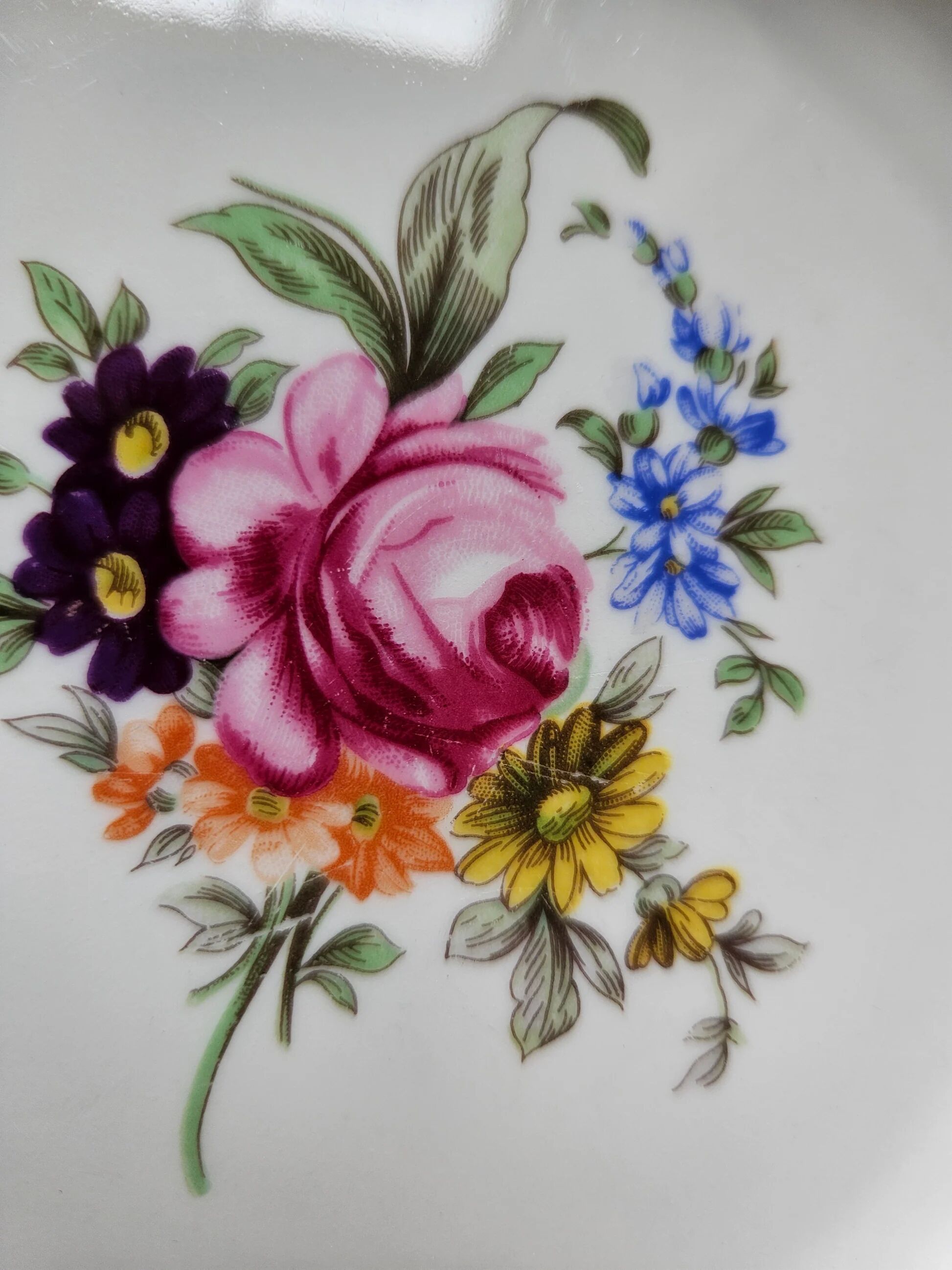 Assiettes creuses en porcelaine de Bohême