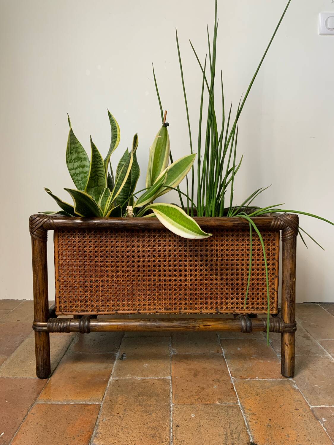 Bamboo and cane planter