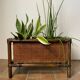 Bamboo and cane planter