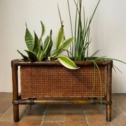 Bamboo and cane planter