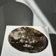 Dish in petrified wood