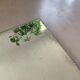 Long old beveled mirror Marc Uzan