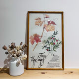 Frame pharmacy herbarium dragon and red vine