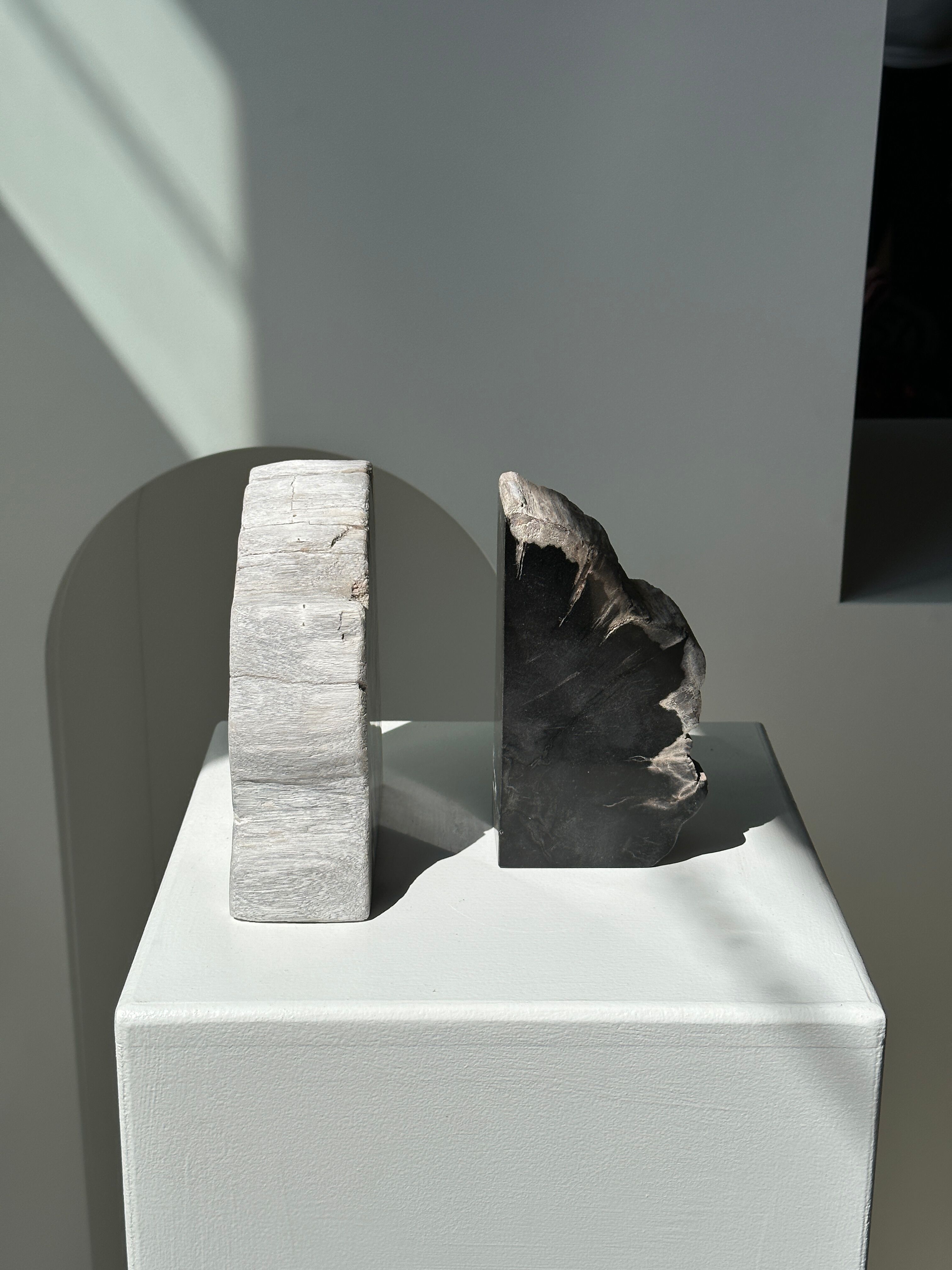 Black petrified wood bookend H17 L17 P6