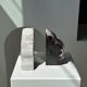 Black petrified wood bookend H17 L17 P6